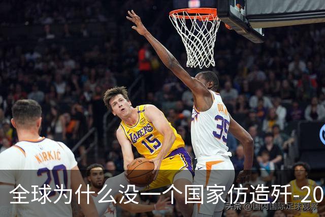 全球为什么没一个国家仿造歼-20，瑞典已破译！