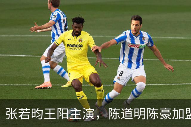张若昀王阳主演,陈道明陈豪加盟,国产谍战剧终于迎来高潮